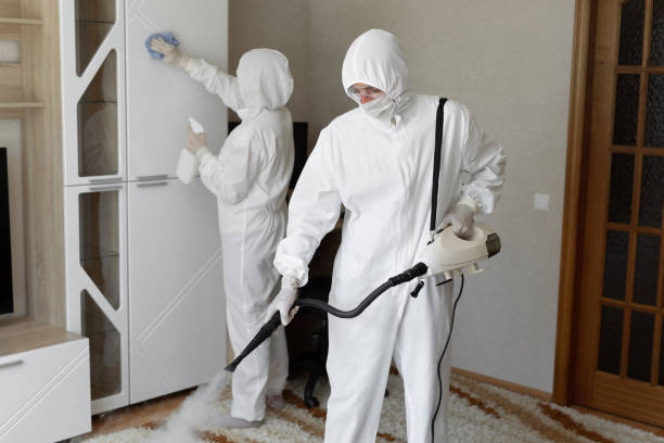 24/7 Emergency Odor Removal experts in Windsor, IL