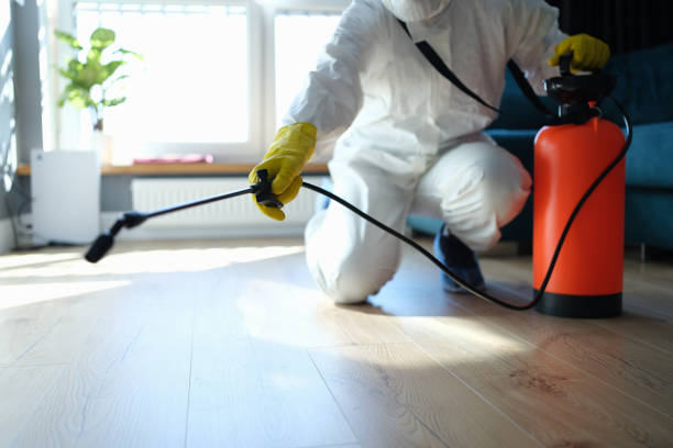 Reliable Odor Removal contractor in Windsor, IL by Trauma Clean Pros